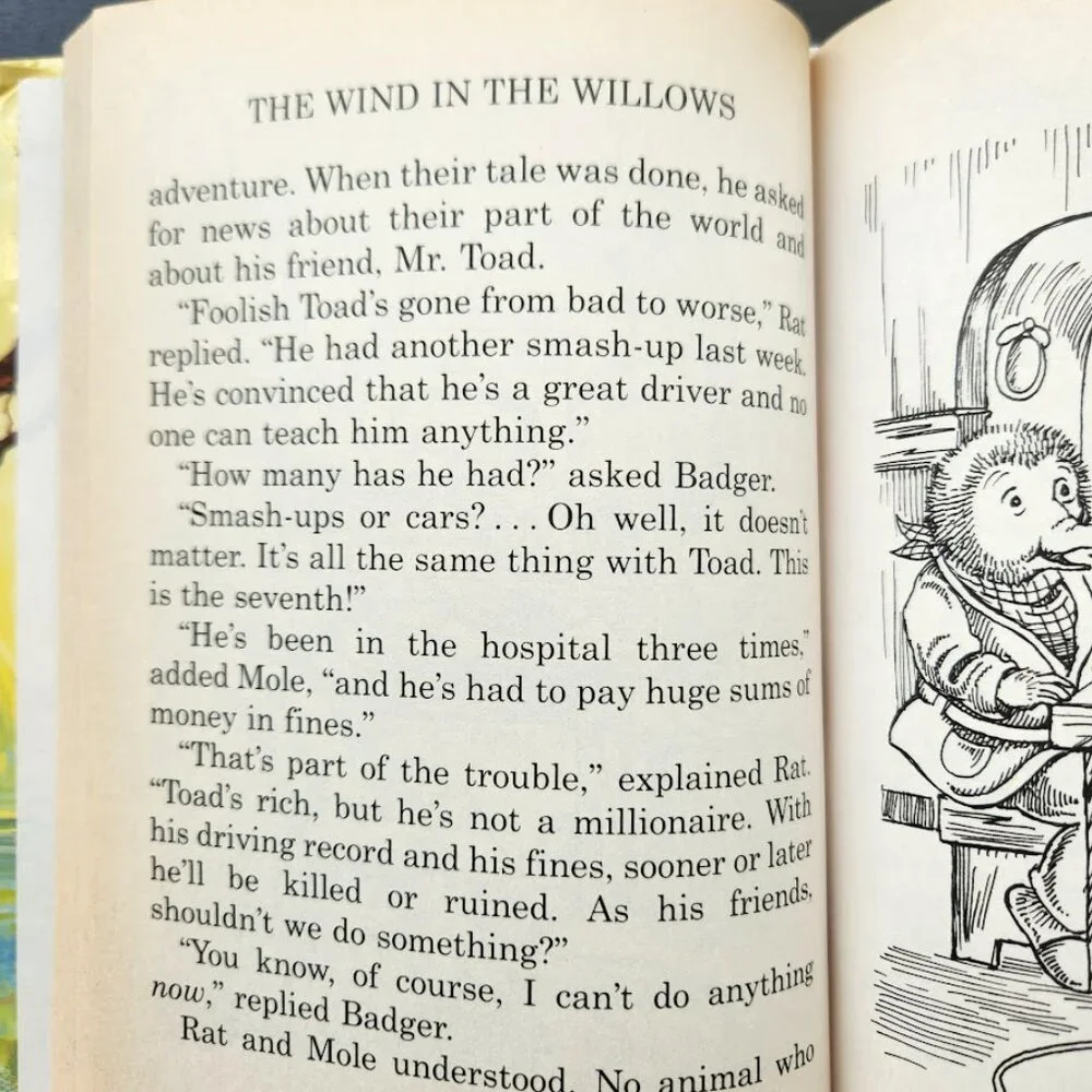 The Wind in the Willows 1996 Vintage Book Hardcover by Kenneth Graham  Print len